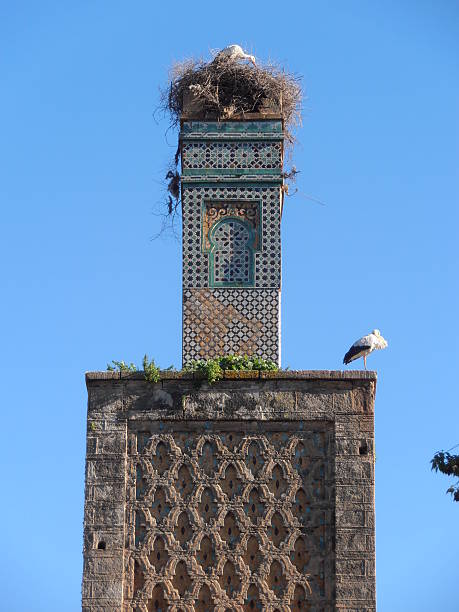 Chellah (Sala Colonia), Morocco Chellah (Sala Colonia), Morocco sala colonia stock pictures, royalty-free photos & images