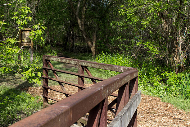 istock Bridge to the Woods 506536289