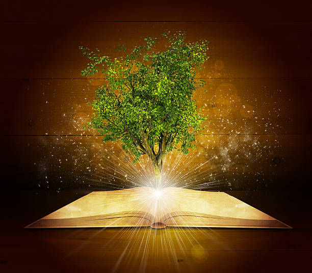 istock Open book with magical green tree and rays of light 506536475