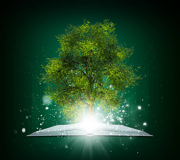 istock Open book with magical green tree and rays of light 506536481