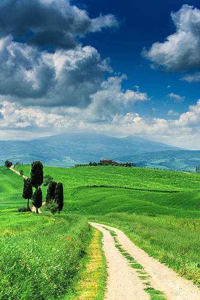 istock Winding road in Tuscany 506537883