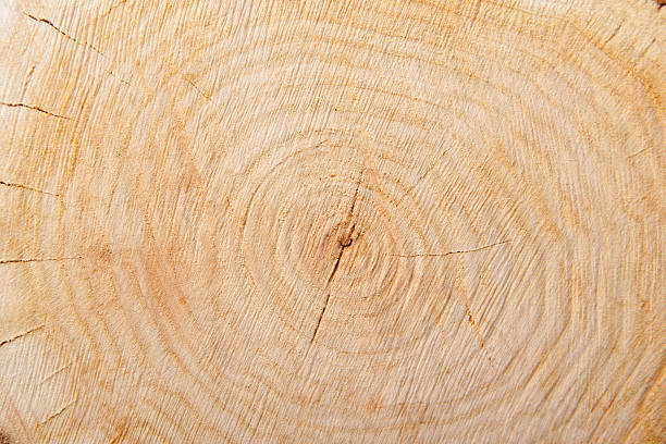 istock close-up wooden cut texture 506539963