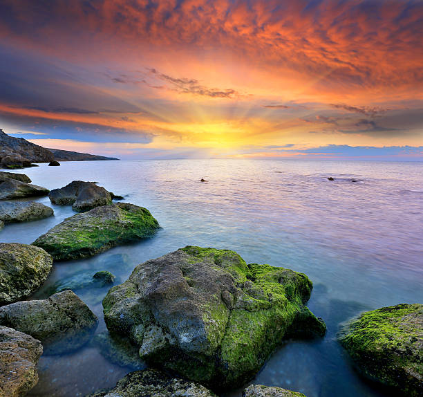 istock stones in sea water on sunset background 506540437