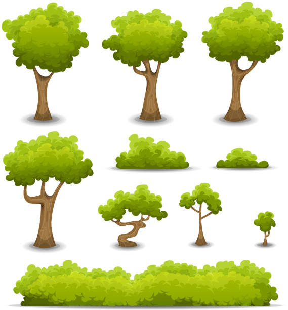 Forest Trees, Hedges And Bush Set Vector illustration of a set of cartoon spring or summer forest trees and other green forest elements, bonsai, foliage, bush and hedges. File is EPS10 and uses multiply transparency on shadows and overlay transparency on gradient contrast effect. Vector eps and high resolution jpeg files included bush illustrations stock illustrations