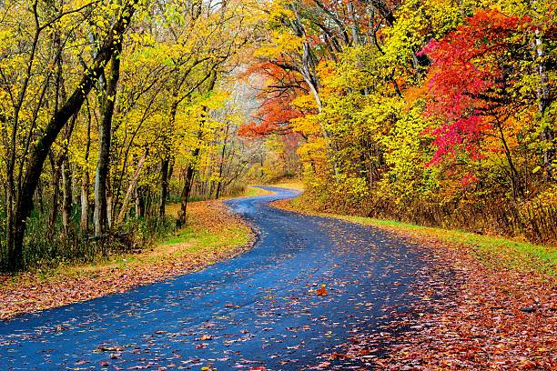 Autumn Road in Ohio stock photo
