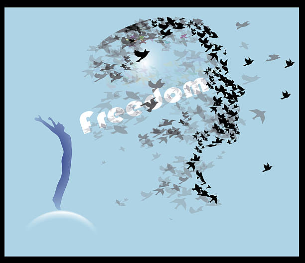istock freedom , free concept  . Libertad 506548228