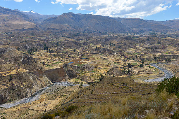 istock Landscape, Colca Canyon, Peru 506549560