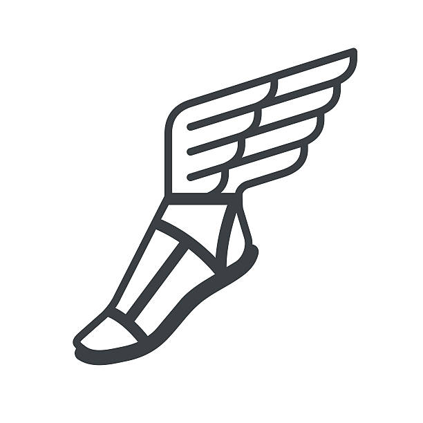 сандалии с крылышками» - крыло животного stock illustrations