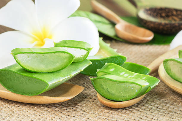 istock Aloe Vera use in spa for skin care 506549758