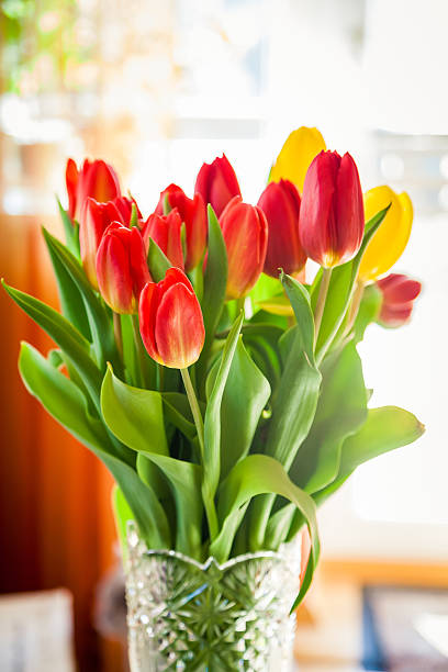 istock bouquet of tulips 506550018