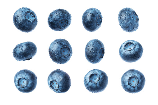 Collections of Blueberries  isolated on white background, macro. Perfect for making composition. You have 12 piece with same light setup. 