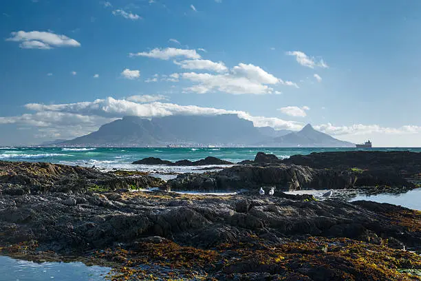 Cape Town is famous for the Table mountain, which everybody can see from all places arround this metropole-here view to the table mountain from Blouberstrand Beach with rocks in the front