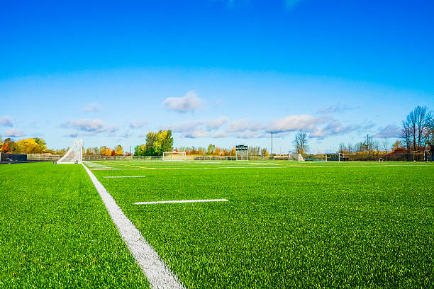 地形ドイツサッカーます。 - soccer man made material goal post grass ストックフォトと画像