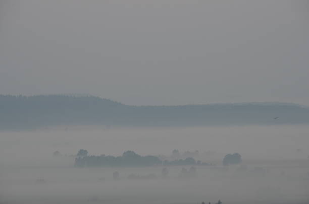 istock Landscape in the fog 506556286