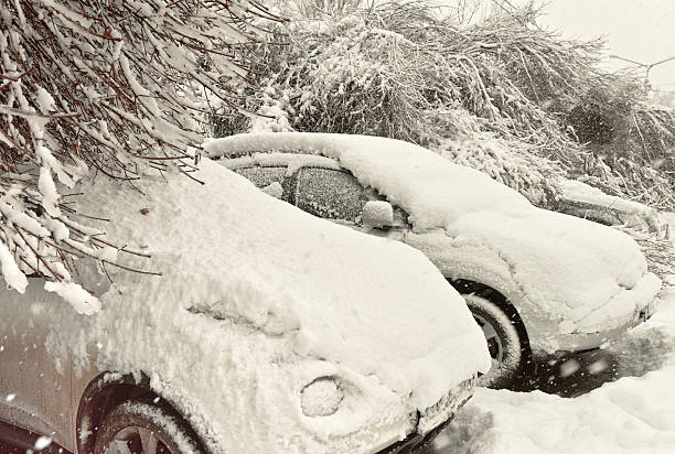 istock Cars covered with fresh white snow 506556672