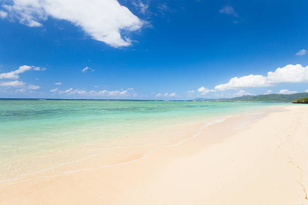 istock Beach (Ishigaki Yonehara Coast in Japan 506557092