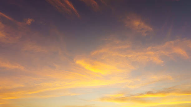 istock Golden light of morning 506557200