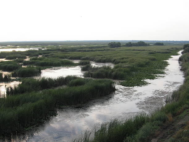 istock View of the lake 506558670