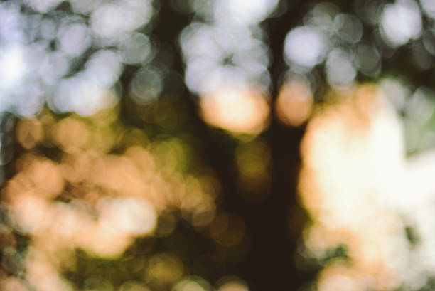istock Bokeh background in vintage color 506571573