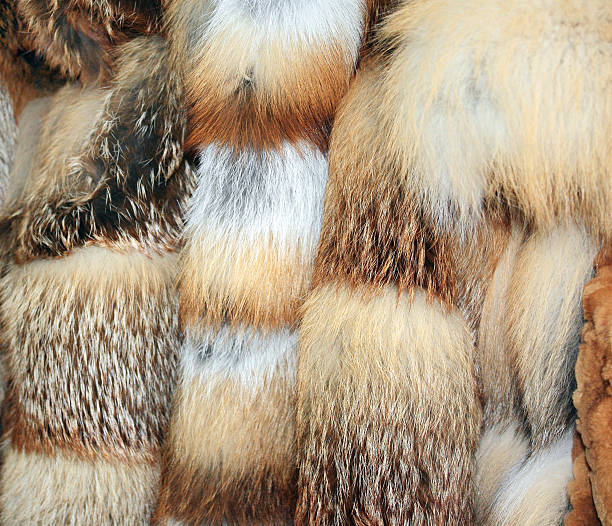 istock Row of fur coats different colors 506571683
