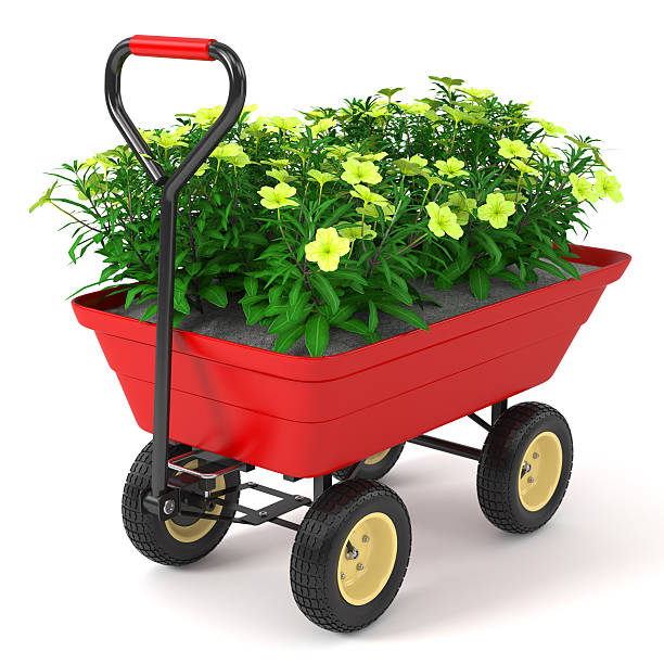 istock Flowerbed in hand trolley. 506571687
