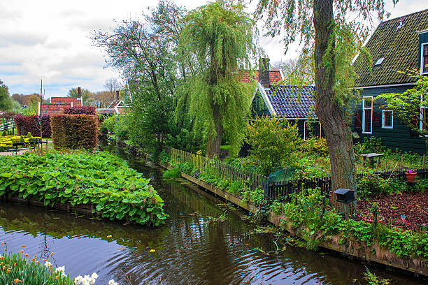 istock Old traditional houses at Zaanse Schans 506573513