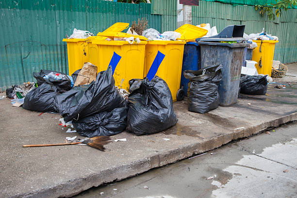 istock Pile of garbage and overfilled recycle bins 506576165