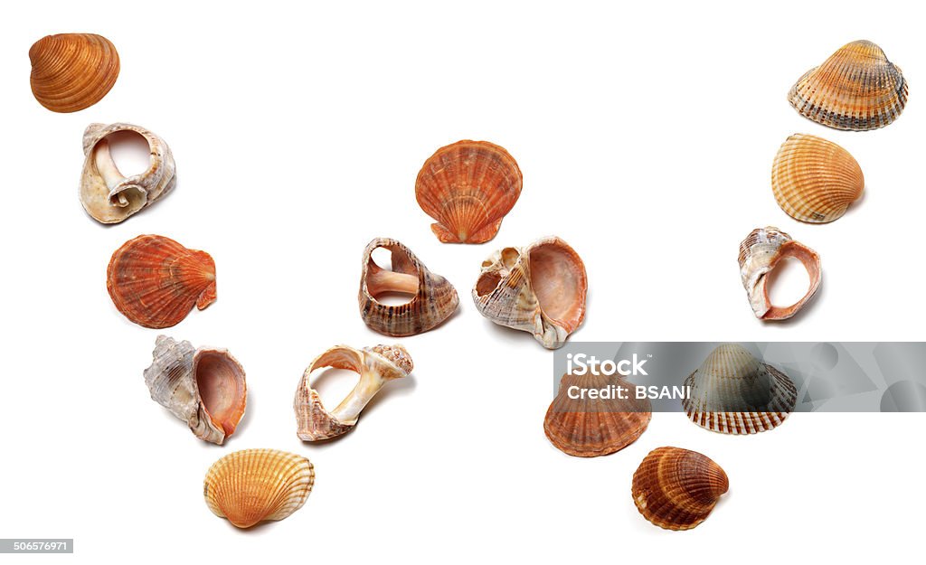 Letter W composed of seashells Letter W composed of seashells. Isolated on white background. Alphabet Stock Photo