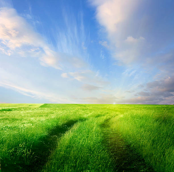 istock Summer landscape with green grass, and road 506578183
