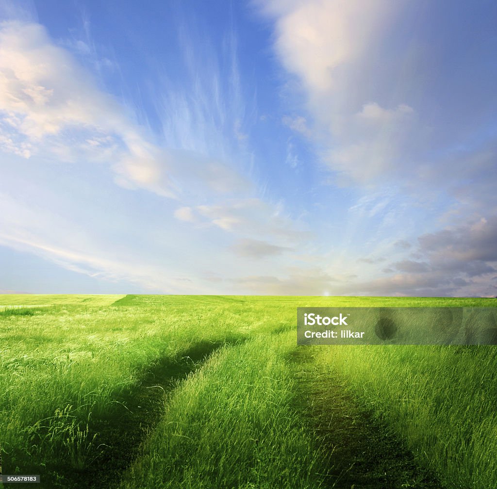 Summer landscape with green grass, and road Blue Stock Photo