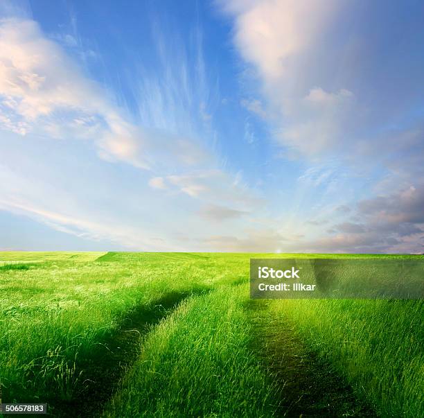 Summer Landscape With Green Grass And Road Stock Photo - Download Image Now - Blue, Day, Freshness