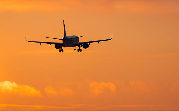 istock Airplane landing to sunset 506582714