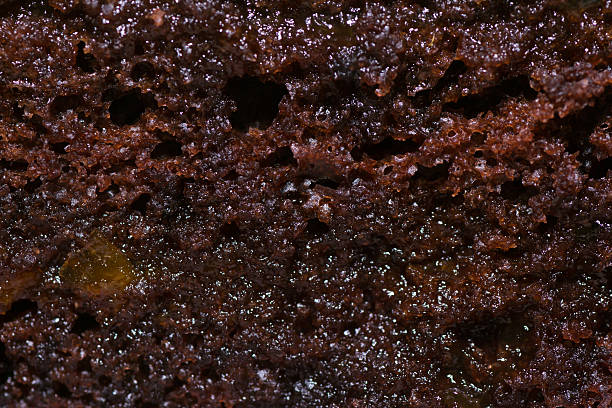istock dessert food 506583570