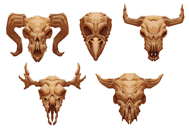 세트마다 동물 왜고너의 납작합니다 - animal skull american bison horned ram stock illustrations