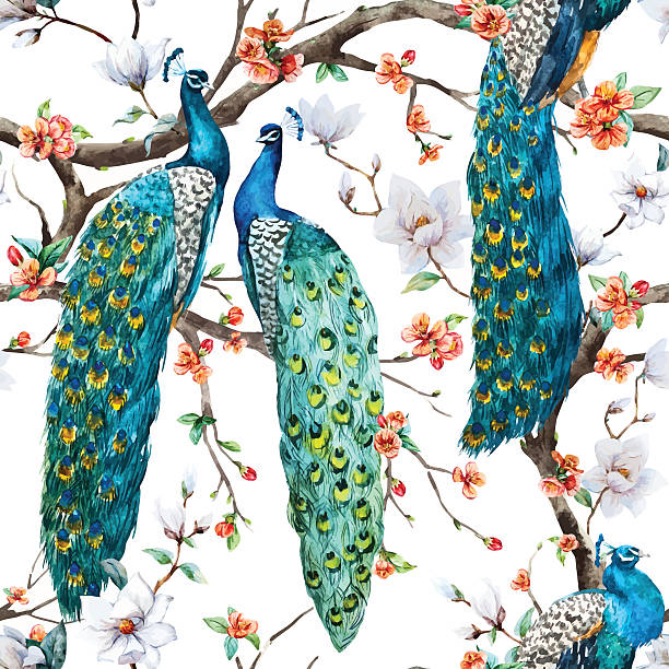 ilustrações de stock, clip art, desenhos animados e ícones de aguarela pavão vector padrão - pattern bird seamless backgrounds