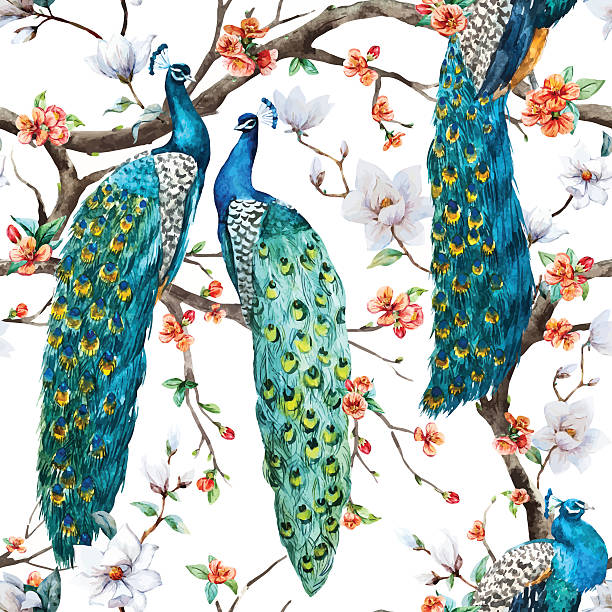watercolor vector peacock pattern - 藍孔雀 幅插畫檔、美工圖案、卡通及圖標