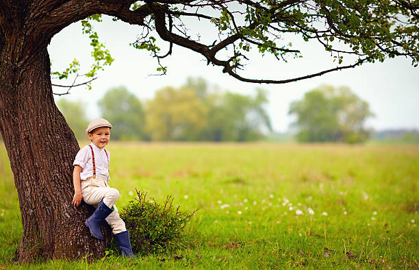 istock cute little boy under the big blooming pear tree, countryside 506591140