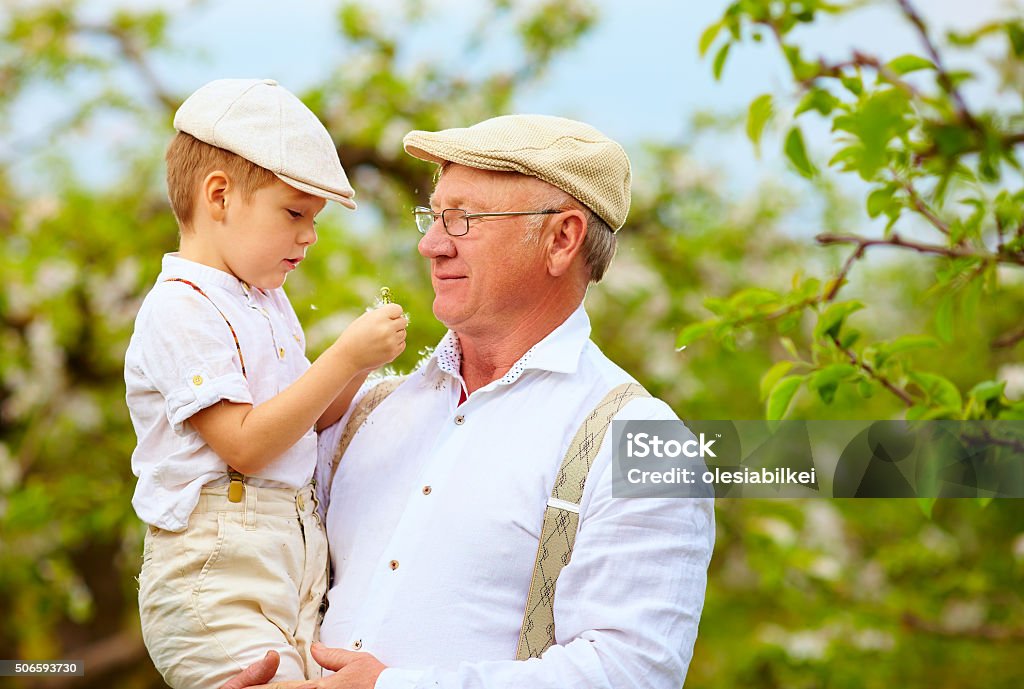 cute grandpa with grandson on hands in spring garden Majestic Stock Photo