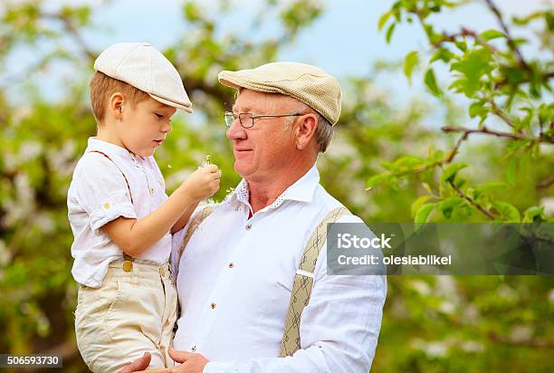 Cute Grandpa With Grandson On Hands In Spring Garden Stock Photo - Download Image Now