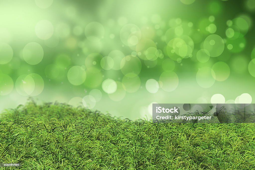 Green grass on a bokeh lights background 3D render of green grass on a bokeh lights background Agricultural Field Stock Photo