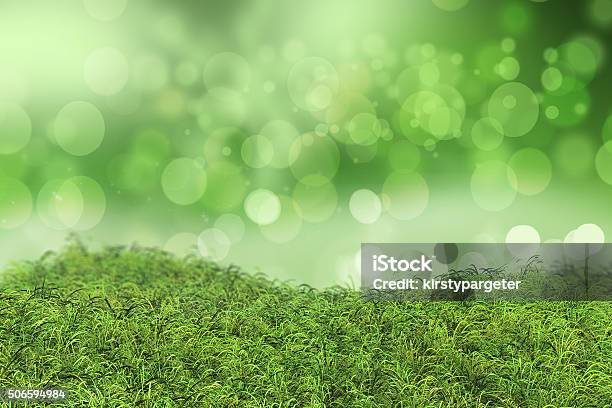 Green Grass On A Bokeh Lights Background Stock Photo - Download Image Now - Agricultural Field, Backgrounds, Bush