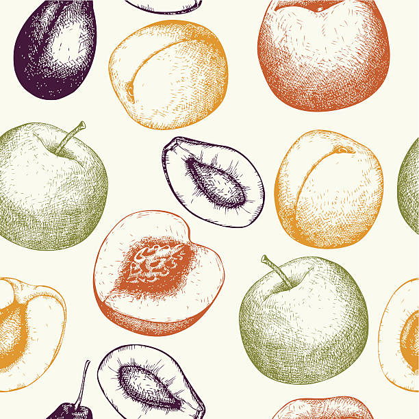 ilustraciones, imágenes clip art, dibujos animados e iconos de stock de fondo restaurante vintage con frutas y vegetales. - portion apple food pattern