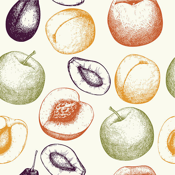 빈티지 후르트 배경 레스토랑, 채식주의 음식. - peach fruit portion orange stock illustrations