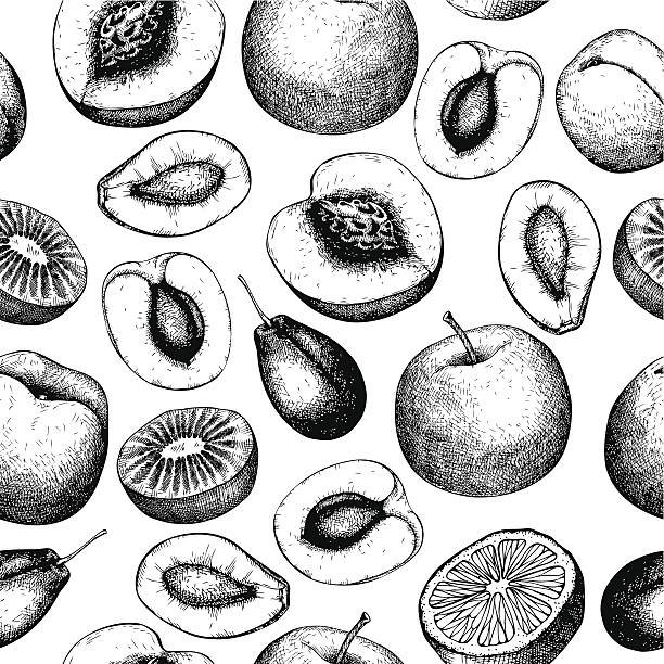 ilustraciones, imágenes clip art, dibujos animados e iconos de stock de vintage frutas fondo de comida vegetariana aislado en blanco - plum grape fruit clip art