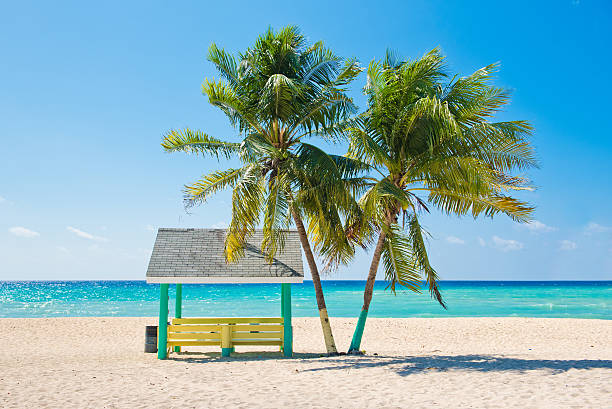 Caribbean Beach Caribbean beach with palm trees, Grand Cayman, Cayman Islands. cayman islands stock pictures, royalty-free photos & images