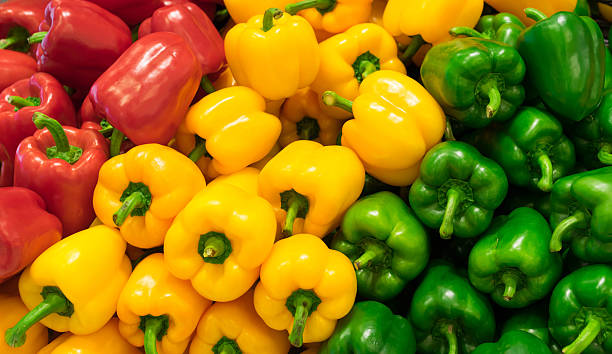 vermelho, amarelo e verde sino pimentos (pimento) de fundo - green bell pepper green bell pepper organic imagens e fotografias de stock