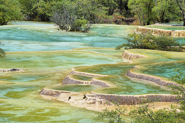 istock Multi-colored pond in Huanlong scenic Area 506597188