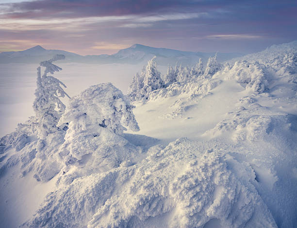 istock Foggy winter scene in the Carpathian mountains. 506597190
