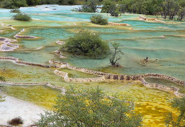 istock Multi-colored pond in Huanlong scenic Area 506597490