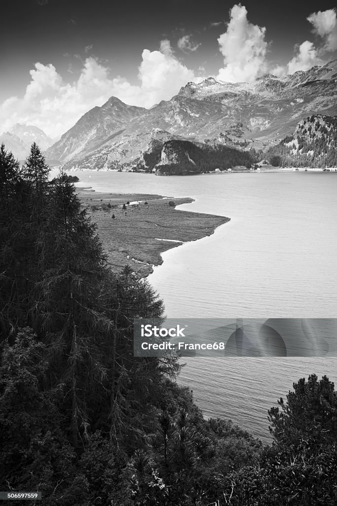 Walking around Sils Lake (Engadin Valley - Switzerland) Beauty In Nature Stock Photo